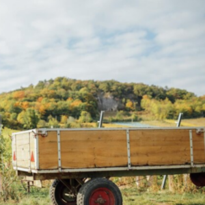 Seguro Remolque Agrícola