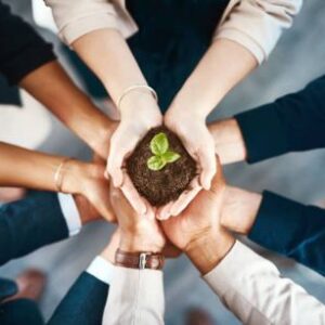 Seguro Responsabilidad Medioambiental